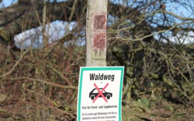 Weltnaturerbe „Buchenwald Grumsin“: Viele Probleme, aber Greifvögel sind sicher …