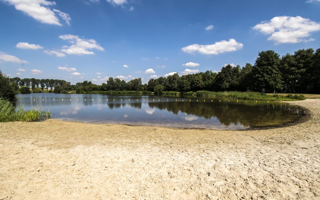 Rettung für Brandenburgs Badestellen?