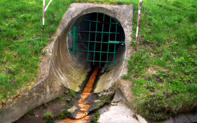 Gewässerbelastung: Das ungeklärte Problem