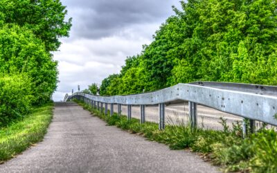 Eidechsen nur als Ausrede? Breitbandausbau machbar, Radwegebau unmöglich