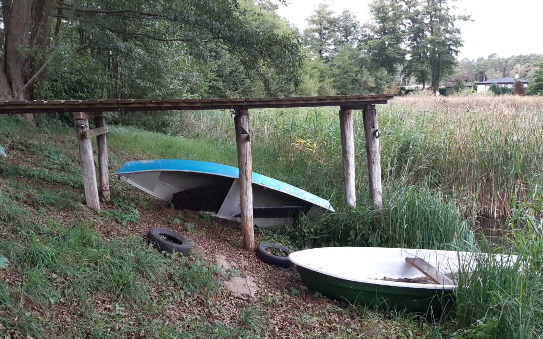 Weiter sinkende Seewasserstände nördlich des Tagebaus Jänschwalde