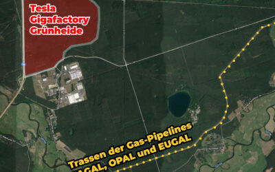 Tesla: Ökostrom-Lüge der Landesregierung wird offensichtlich