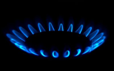 Gasnetze: Grüne wollen, dass Aussagen grüner Staatssekretäre nicht ernst genommen werden