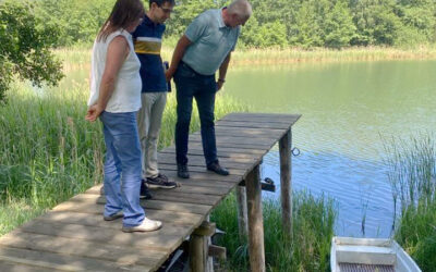 Landesregierung plant keine weiteren Rettungsmaßnahmen: Pinnower See vor dem Ende?
