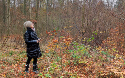 Brandenburger Jagdgesetz: Das sind unsere Forderungen