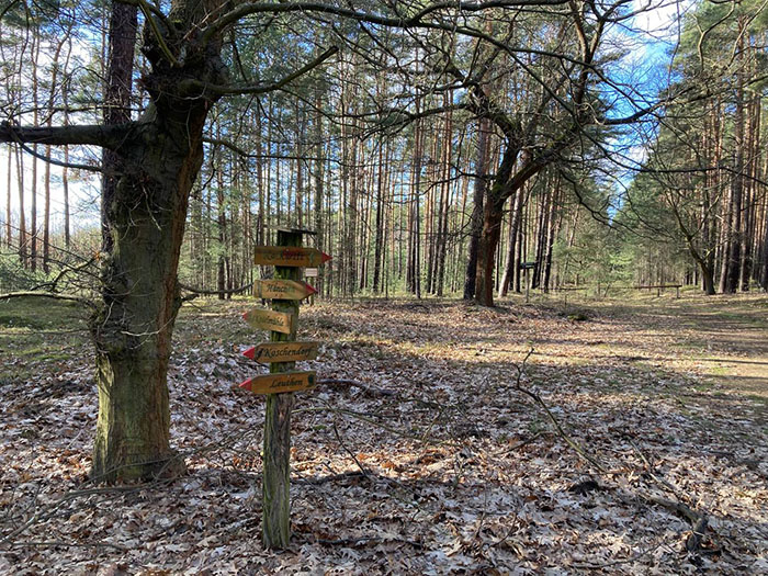 Waldrodung im Spreewald verhindern!